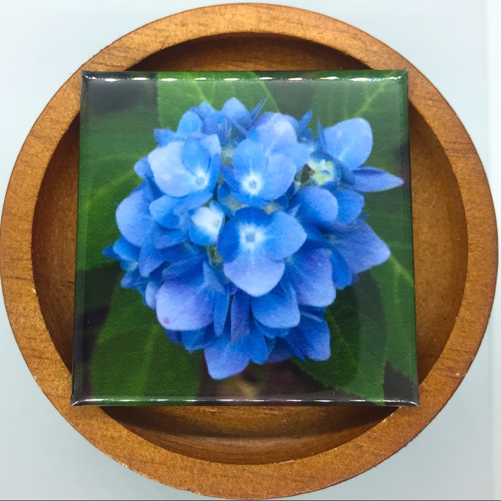 ✨3/$25✨ Blue Hydrangea Photo Magnet